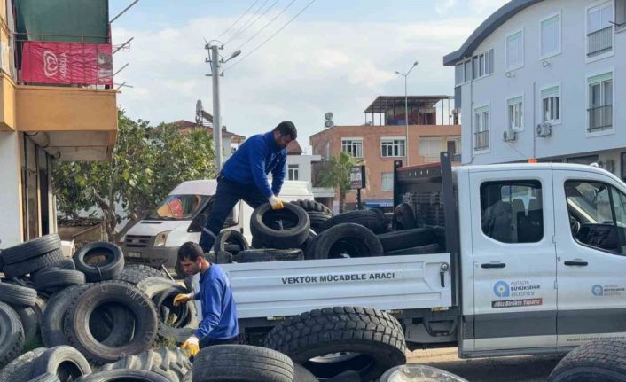 Sineklerin üreme alanı lastikler toplanıyor