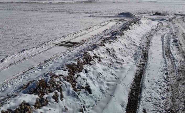 Sivas’ta 60 bin ton şeker pancarı kar altında kaldı