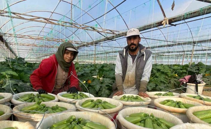 Suriye’den kaçıp Türkiye’de evlenen çift: “Esad’ın yaptığını bize gavur yapmadı”