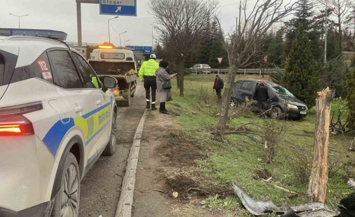 Takla atan otomobil ağaçları devrildi