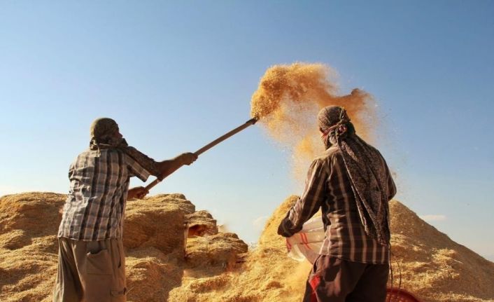 Tarımsal girdi fiyat endeksi yıllık yüzde 32,59 arttı