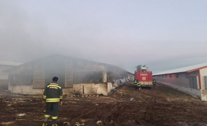 Tavuk çiftliğinde çıkan yangın hasara neden oldu