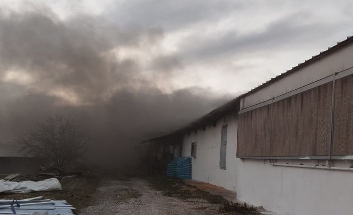 Tavuk çiftliğinde yangın: Binlerce civciv telef oldu