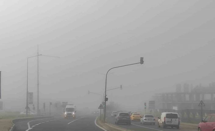 Tekirdağ’da yoğun sis