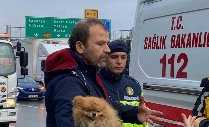 TEM’de cip istinat duvarına çarptı: Köpeğini bir an olsun bırakmadı