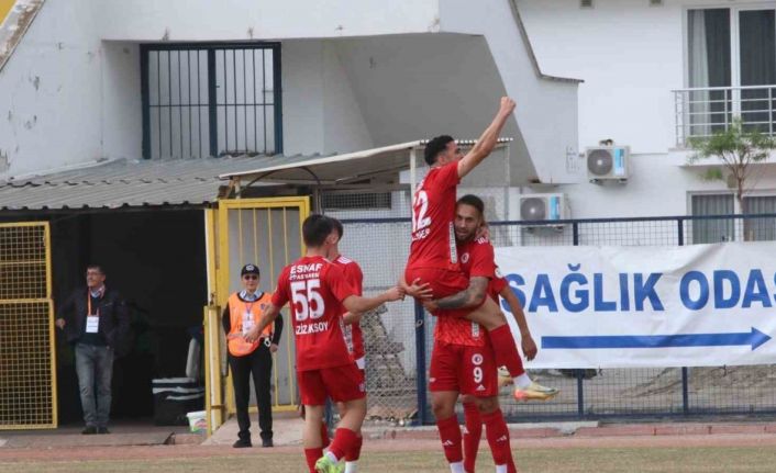 TFF 2. Lig: Fethiyespor: 3 - 24 Erzincanspor: 1