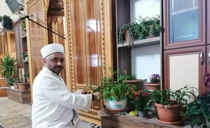 Tokatlı imam cami içini çiçek bahçesine çevirdi