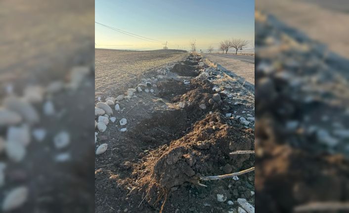 Tunceli’de yol kenarında dikili fidanlar çalındı, belediye başkanı tepki gösterdi