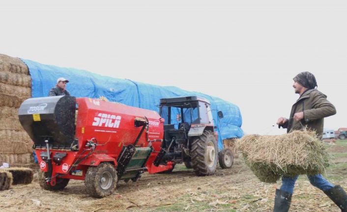 Üniversiteli çoban kış mevsiminde küçükbaş hayvan bakımının zorluklarını anlattı