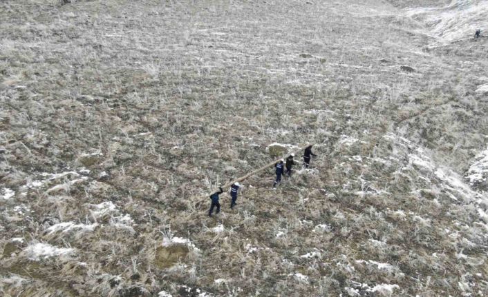 Vatandaş karanlıkta kalmasın diye elektrik direğini omuzlarında taşıdılar