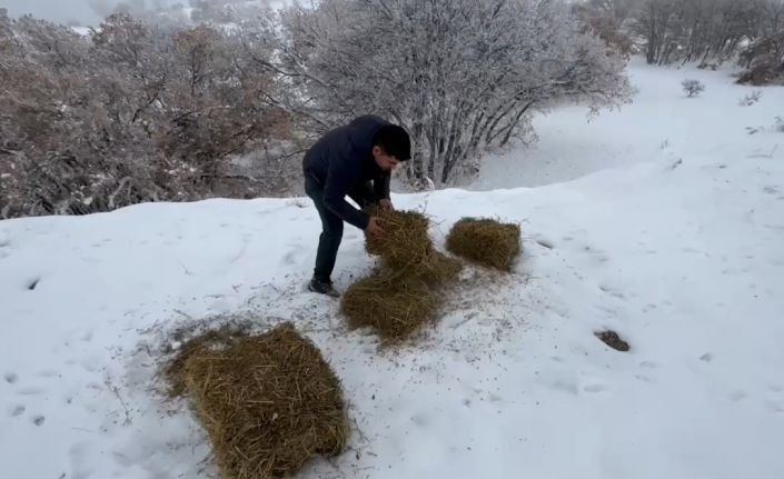 Yaban hayvanları için doğaya yem bırakıldı