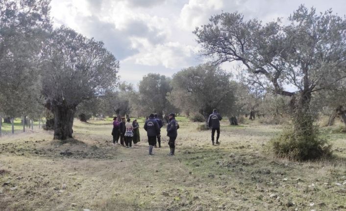 "Yeşil altın" bekçileri hırsızlara geçit vermiyor