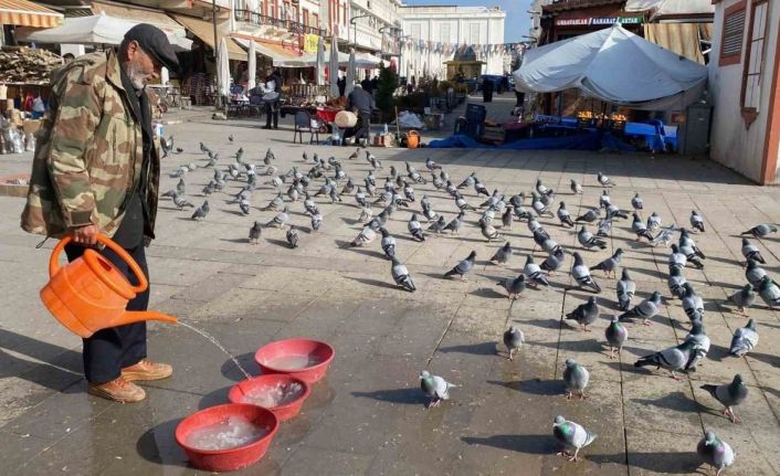 Yozgat esnafından güvercinlere şefkat eli