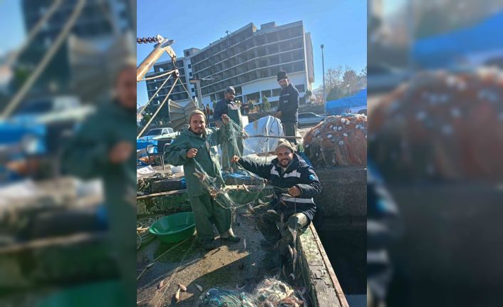 Zonguldak’ta barbun balığı bereketi