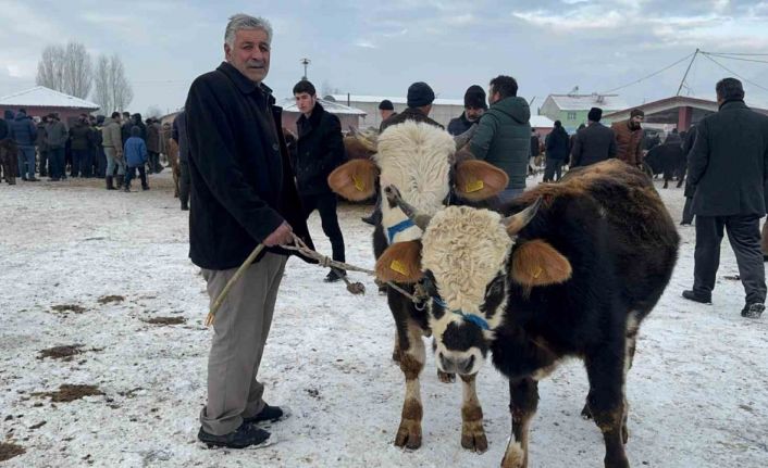 Ağrı Hayvan Pazarı’nda dondurucu soğuk çileye dönüştü