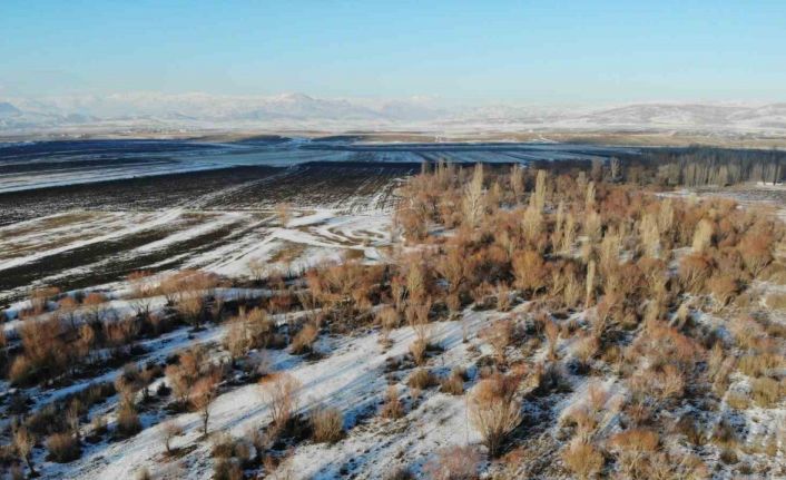 Ağrı’da kış manzarası göz kamaştırdı