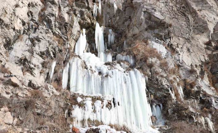 Ardahan’da hava buz kesti, şelale dondu