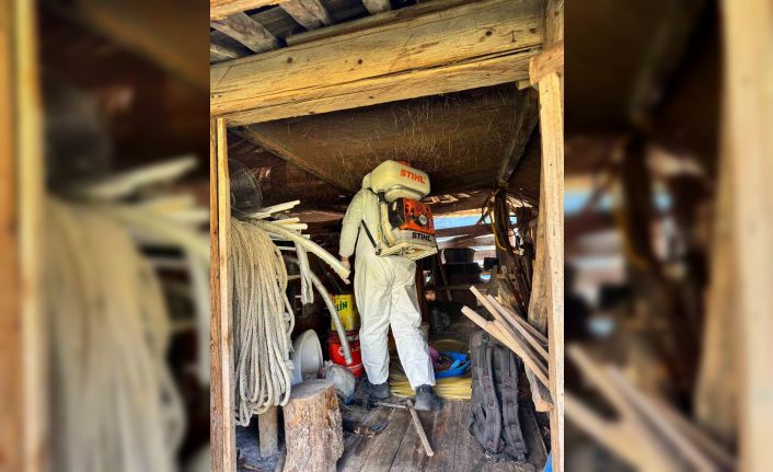 Artvin’de kahverengi kokarca böceğine karşı ilaçlama çalışmaları devam ediyor