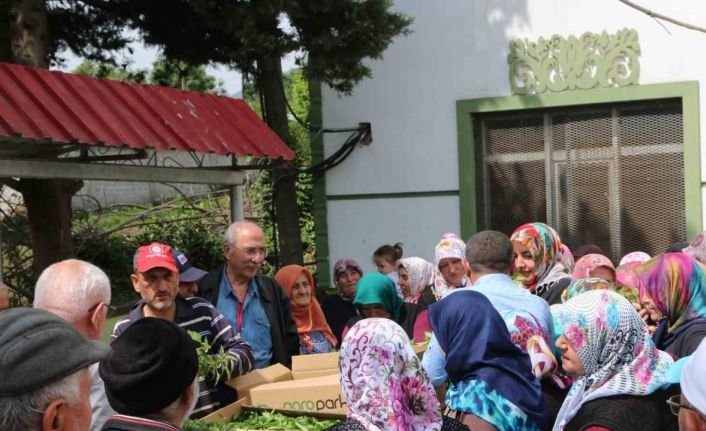 Atakum’da çiftçiye 30 bin sebze fidesi ve tohum desteği