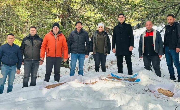 Balıkesir’de yaban hayvanları unutulmadı