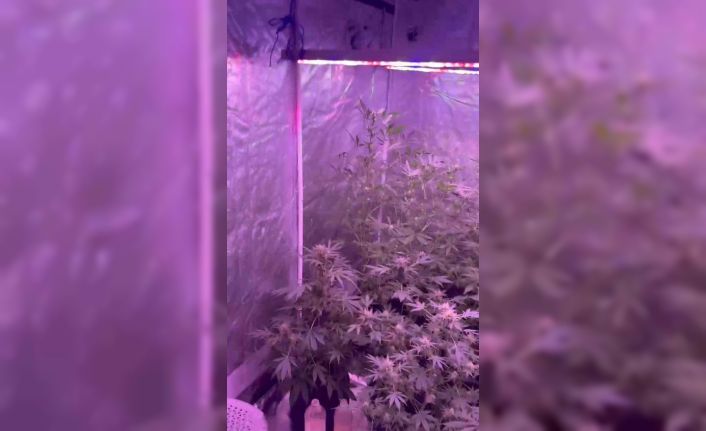 Bandırma’da uyuşturucu imalathanesine baskın: 1 gözaltı