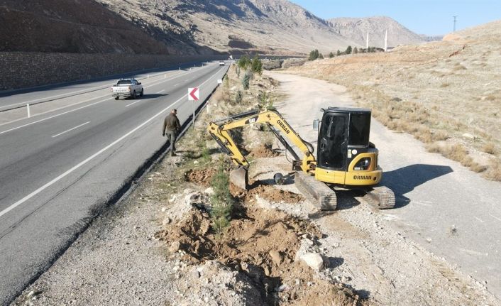 Batman’da 3 bin 620 adet çam fidanı dikildi