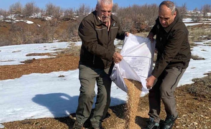 Batman’da hayvanlar için doğaya yem bırakıldı