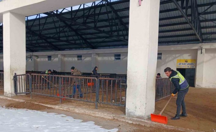 Bayburt’ta canlı hayvan pazarı yarın açılacak
