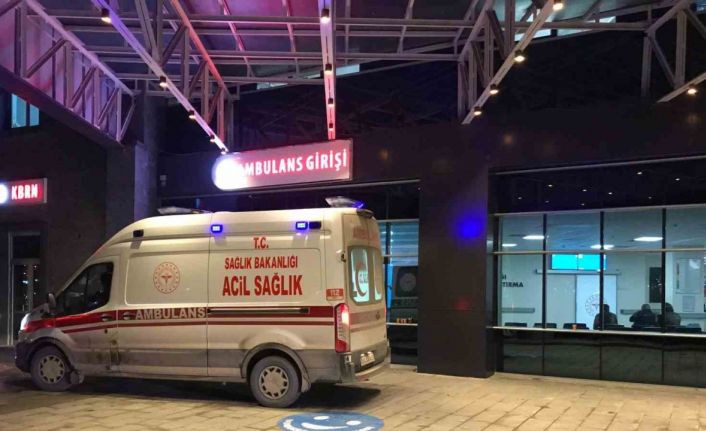 Bilecik’te orta refüje çarpan araçtan bulunan 2 kişi yaralandı