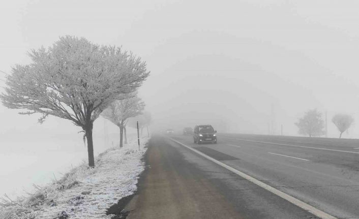 Bitlis’te sis etkili oldu