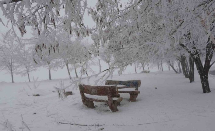 Bitlis’te yoğun sis