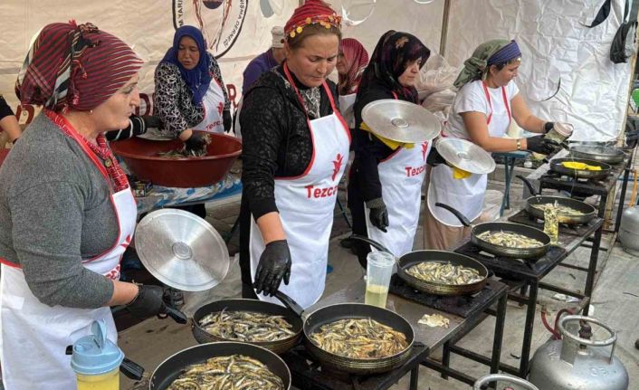 Bodrum’da hamsi ziyafeti: 3 ton hamsi dağıtıldı