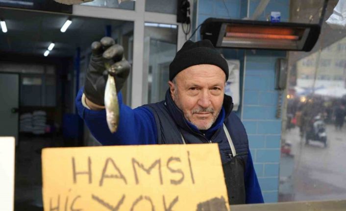 Bolu’da hamsinin yokluğu fiyatları yükseltti