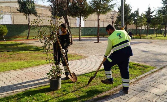 Burak Mahallesi’nde hasret sona erdi