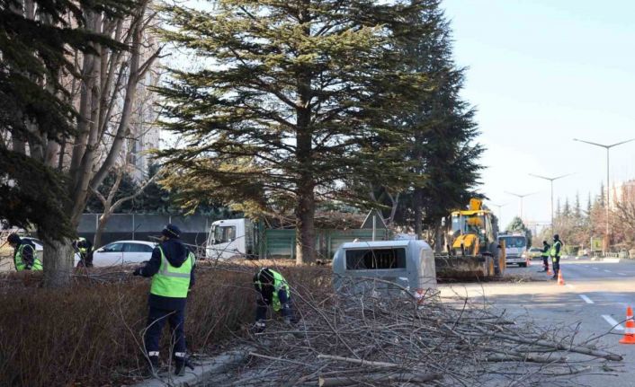 Büyükşehir ekipleri budama çalışmalarına devam ediyor