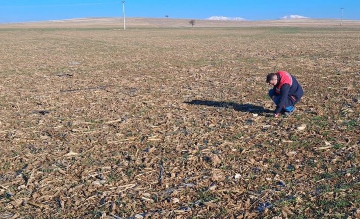 Dazkırı’da tarım arazisi etüt çalışması yapıldı