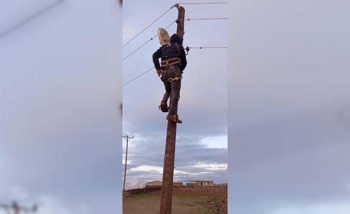 DEDAŞ çözüm bulamayınca vatandaşlar sokak lambalarını kendileri onardı