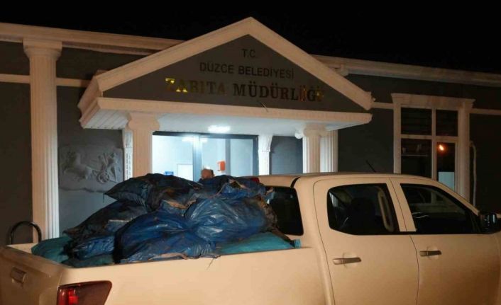 Düzce’de zabıtadan kaçak kömür denetimi