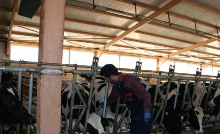 Erzincan’da 2024 yılında 1 milyon 170 bin doz aşılama gerçekleştirildi