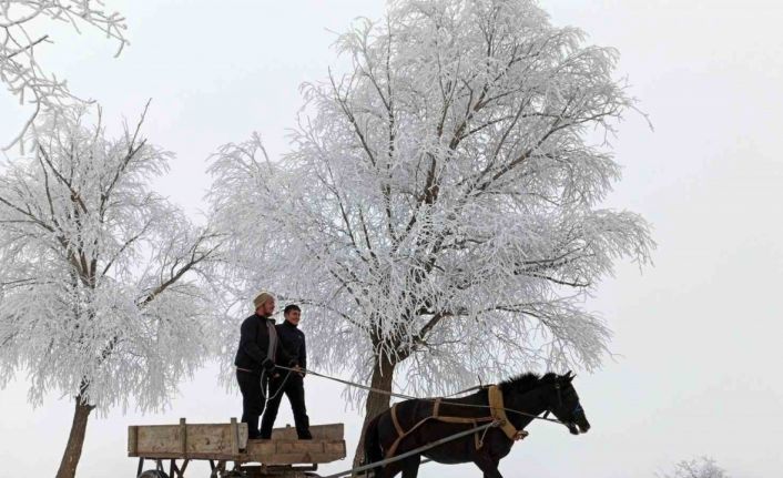 Erzincan’ın Otlukbeli ilçesi buz tuttu!