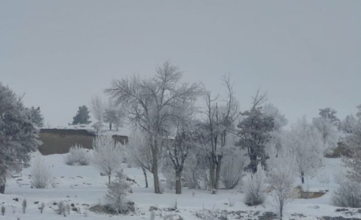 Erzurum buz kesti