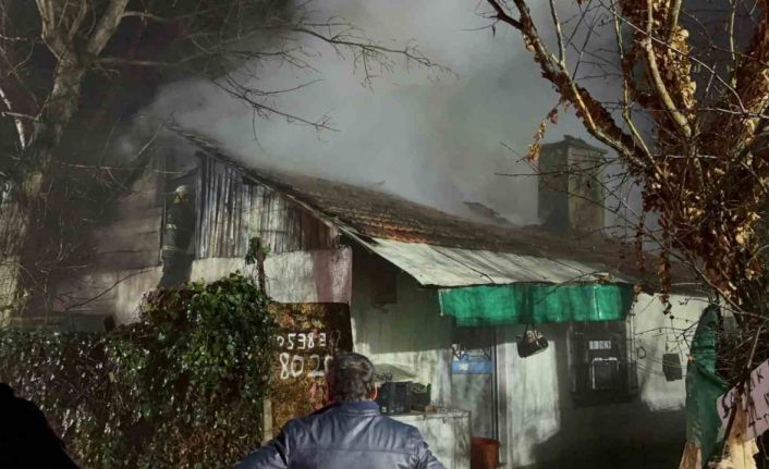 Ev ve ahır alev alev yandı: 4 hayvan telef oldu