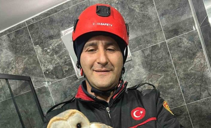 Evin banyosunda mahsur kalan baykuşu itfaiye ekibi kurtardı