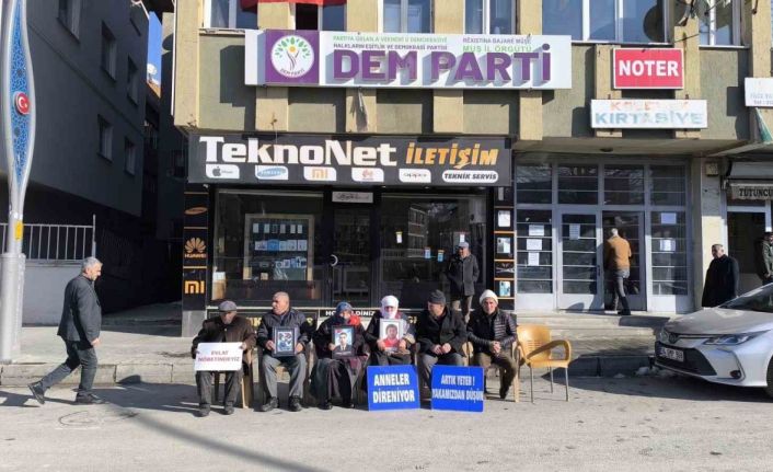 Evlat nöbetindeki anneler yeni yıldan umutlu