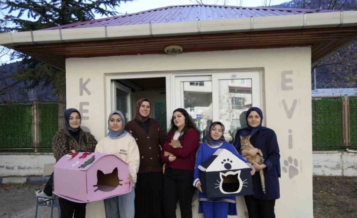 Gümüşhane’de öğrenci yurdunun güvenlik kulübesi kedilere yurt oldu