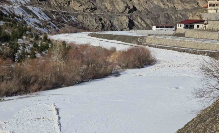 Hakkari’de Zap Suyu dondu