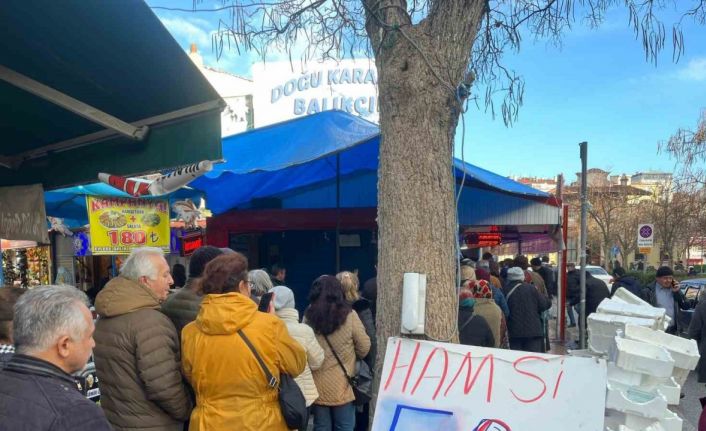 Hamsi rekabetinde fiyat 50 liraya kadar düştü