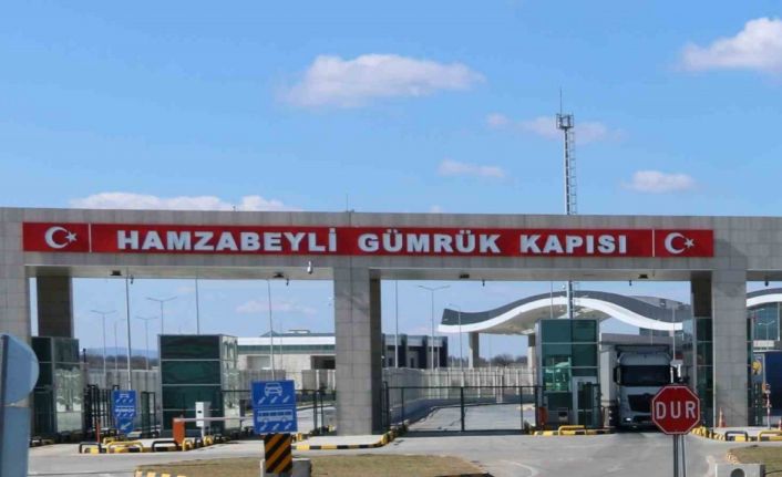 Hayvan ilacı beyan edildi, 11 kilo esrar çıktı