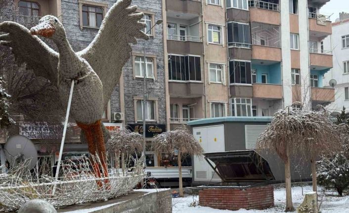 Iğdır şehir merkezine mevsimin ve yılın ilk karı yağdı