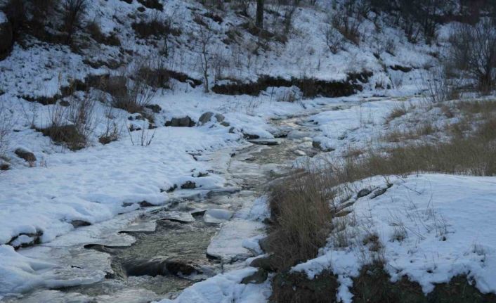 Iğdır’ın yüksek kesimlerinde akarsular dondu